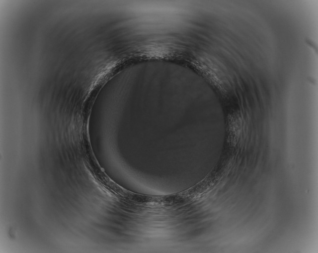 X0000097820496200804041402