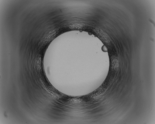 X0000097820498200804041402