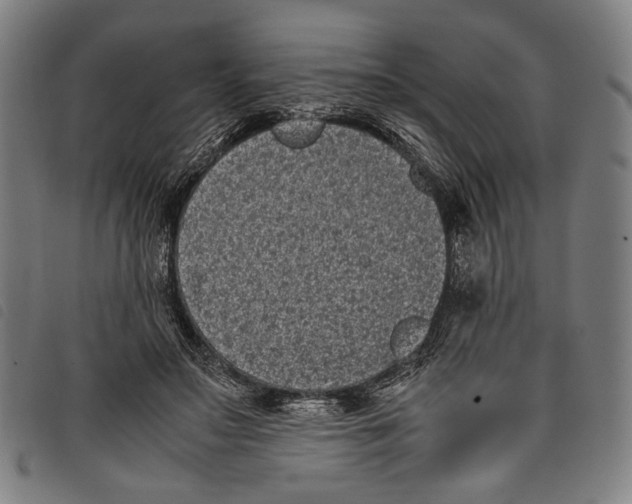 X0000097820499200804041402