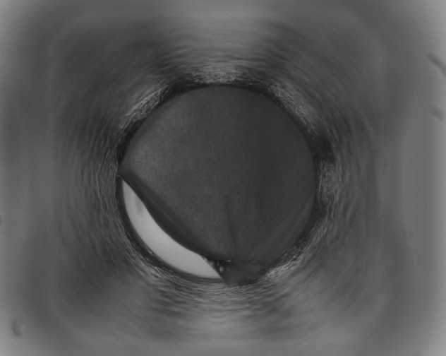 X0000097820501200804041402