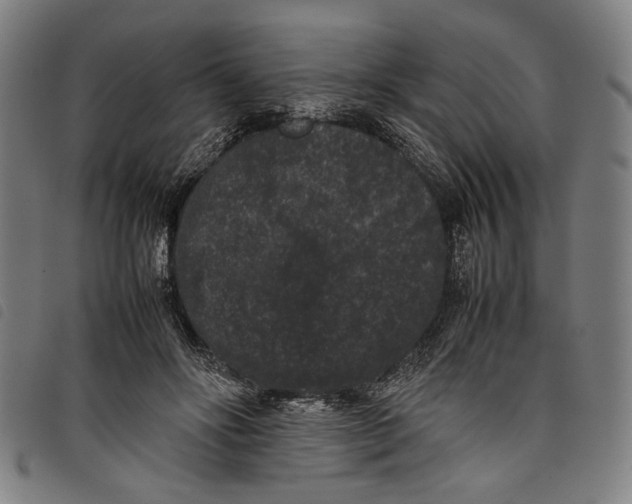 X0000097820502200804041402