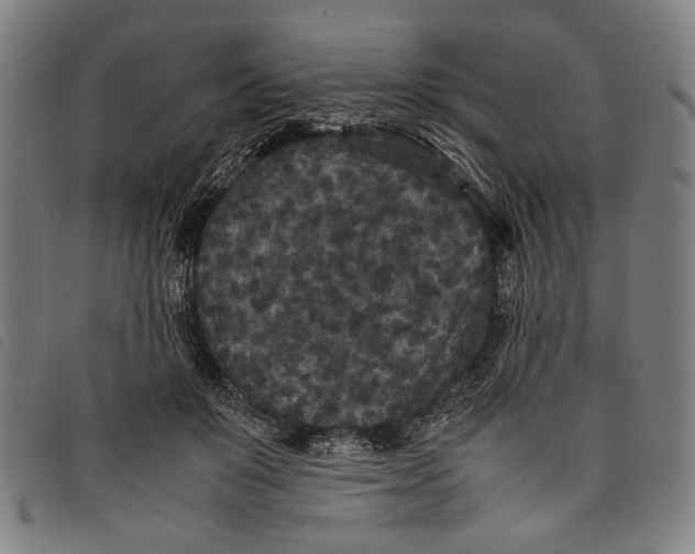 X0000097820503200804041402