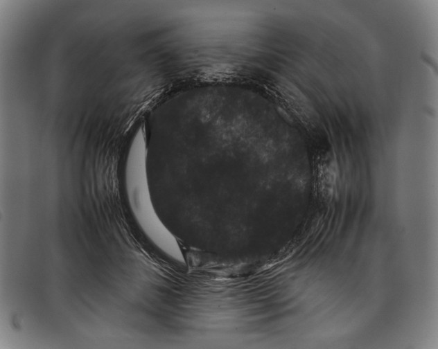 X0000097820508200804041402