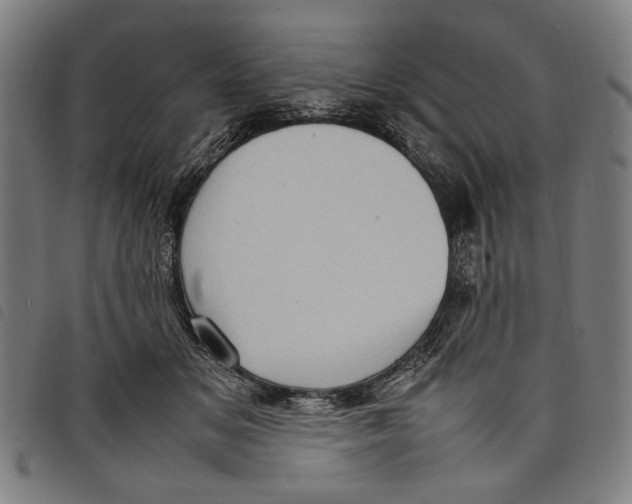 X0000097820509200804041402