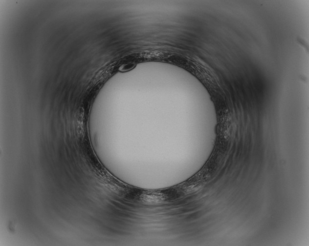 X0000097820510200804041402