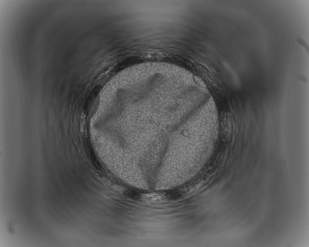 X0000097820511200804041402