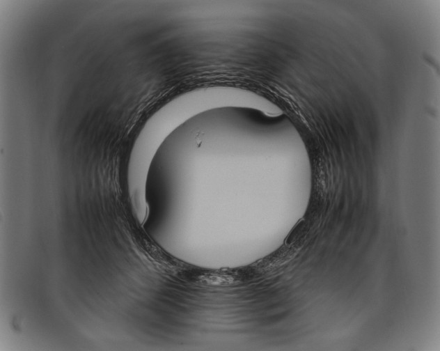 X0000097820512200804041402