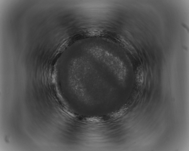 X0000097820516200804041402