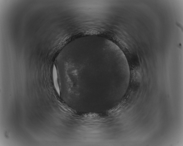 X0000097820517200804041402