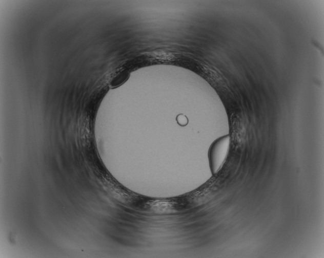 X0000097820518200804041402