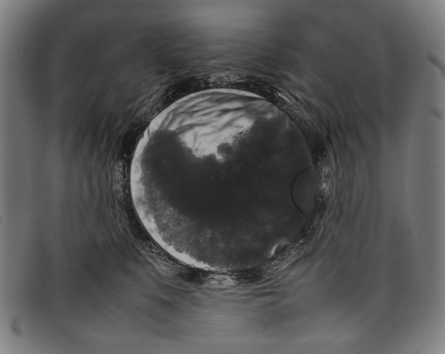 X0000097820519200804041402