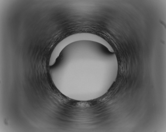 X0000097820520200804041402