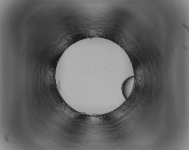 X0000097820522200804041402