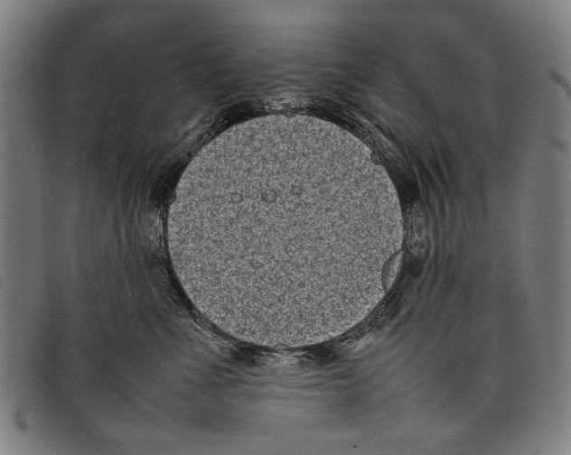 X0000097820523200804041402