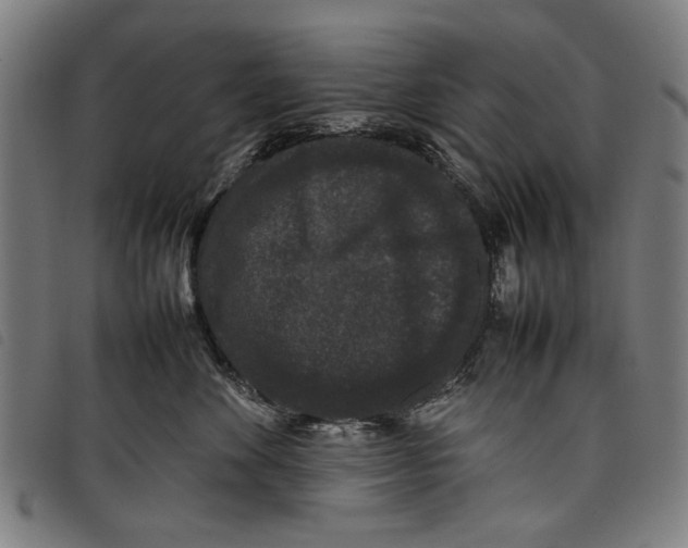 X0000097820524200804041402