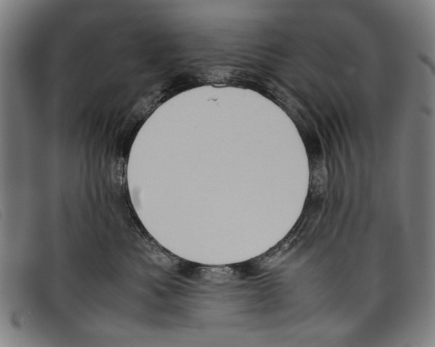 X0000097820525200804041402