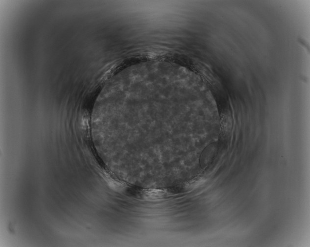 X0000097820527200804041401