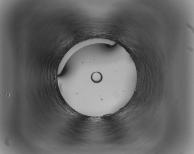 X0000097820528200804041401