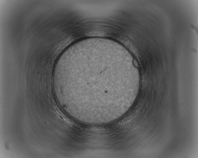 X0000097820529200804041401