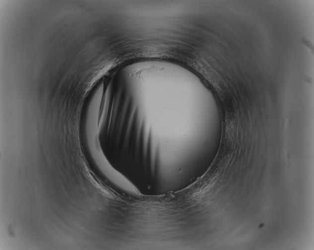 X0000097820530200804041401