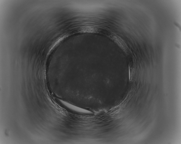 X0000097820531200804041401