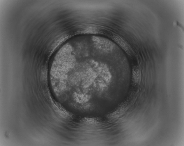 X0000097820534200804041401