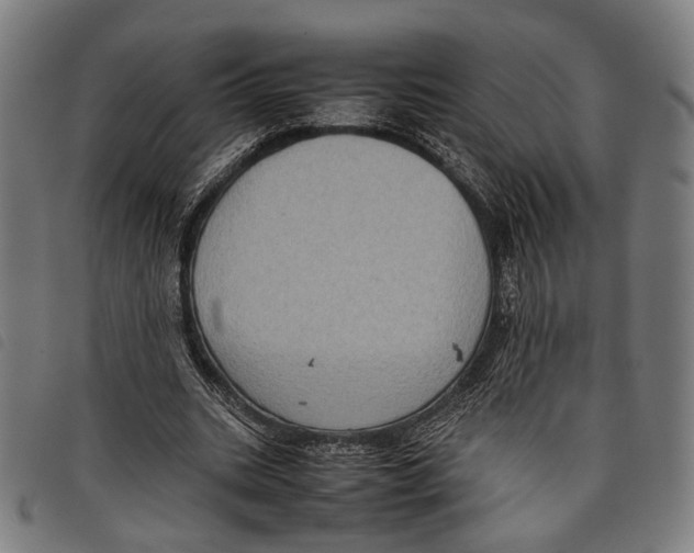 X0000097820535200804041401