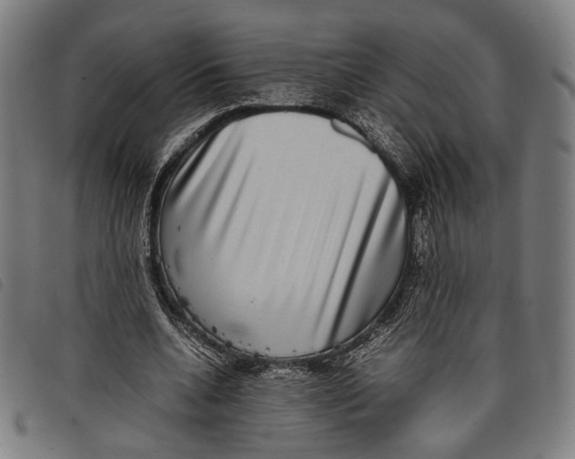 X0000097820536200804041401