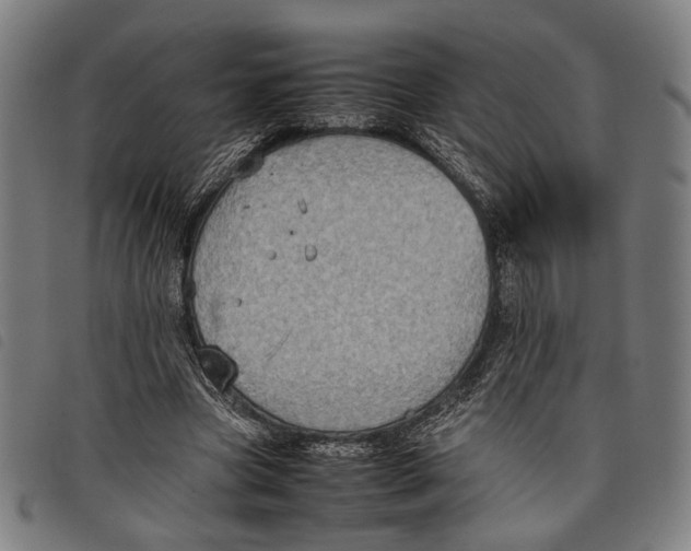 X0000097820537200804041401