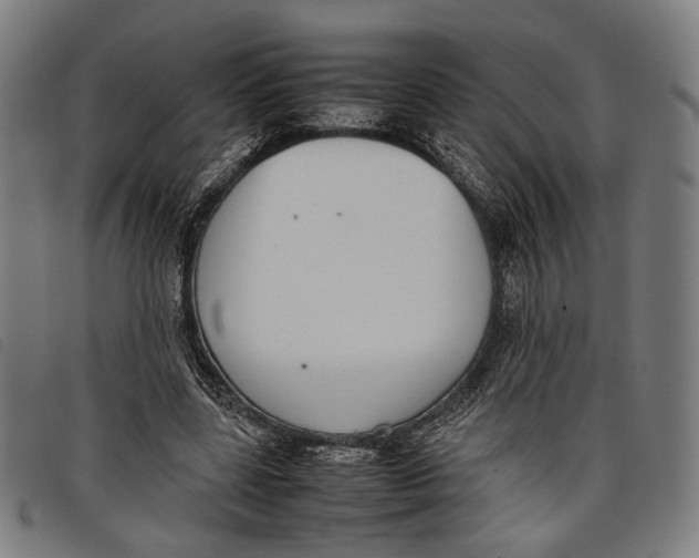 X0000097820539200804041401