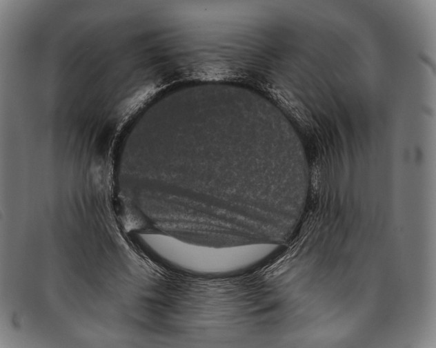 X0000097820540200804041401