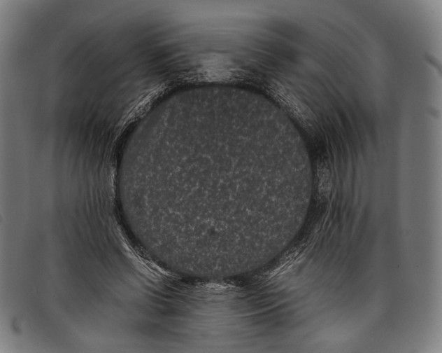 X0000097820542200804041401