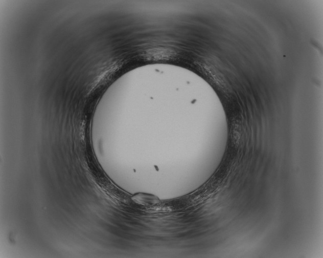 X0000097820543200804041401