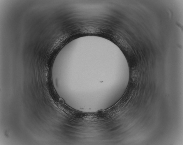 X0000097820544200804041401