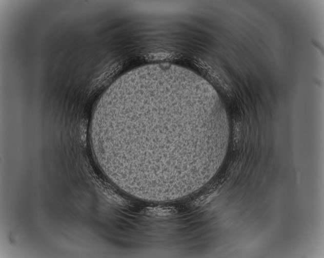 X0000097820545200804041401