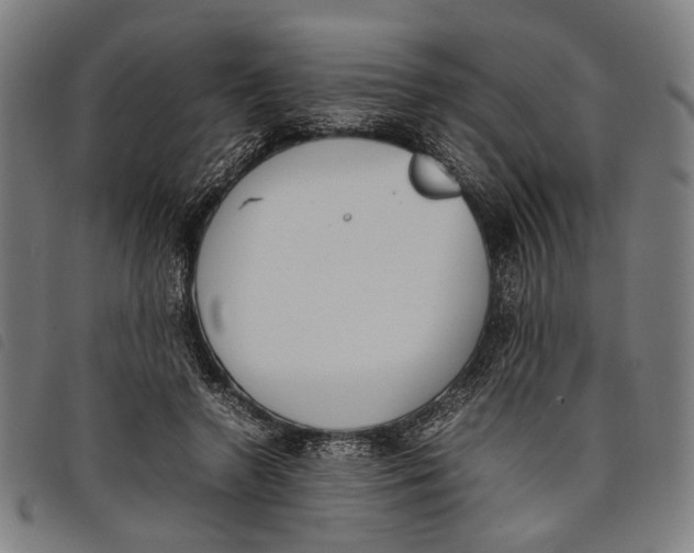 X0000097820546200804041401