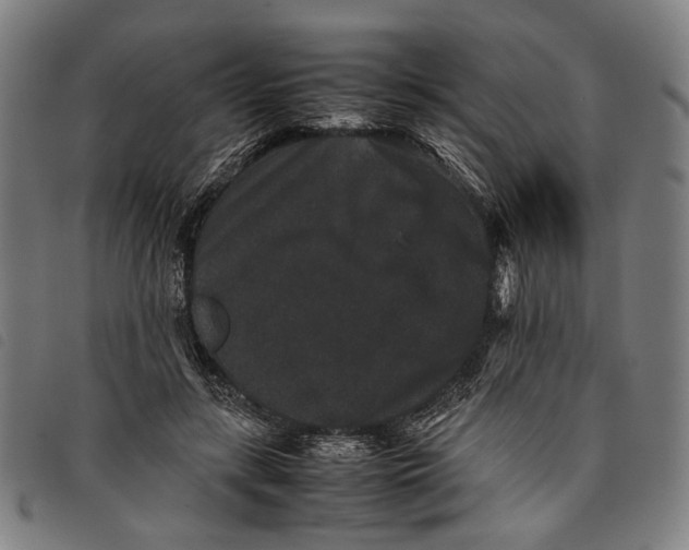 X0000097820547200804041401