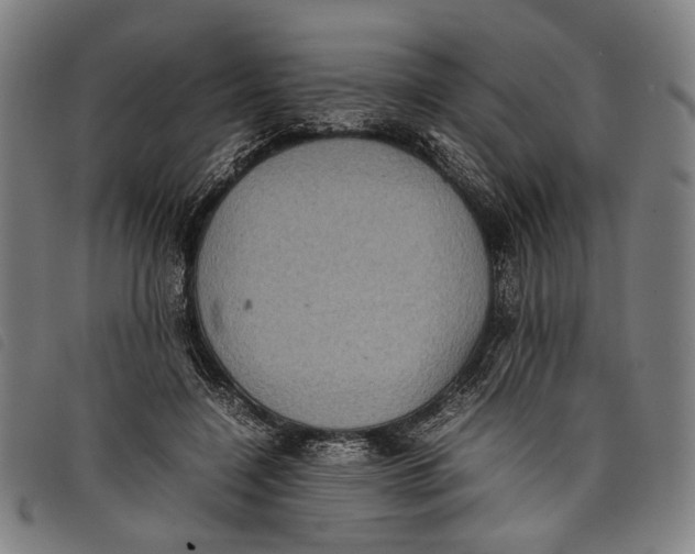 X0000097820548200804041401