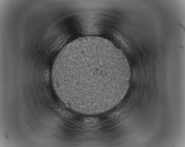 X0000097820549200804041401