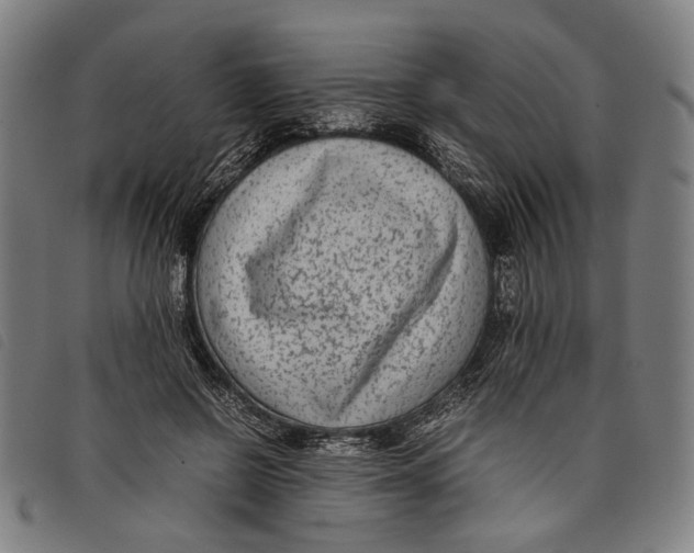 X0000097820550200804041401