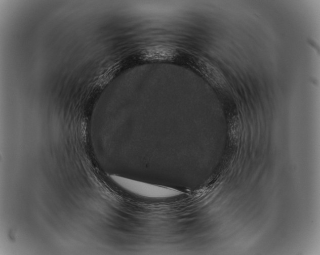 X0000097820551200804041401