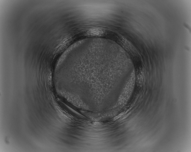 X0000097820552200804041401