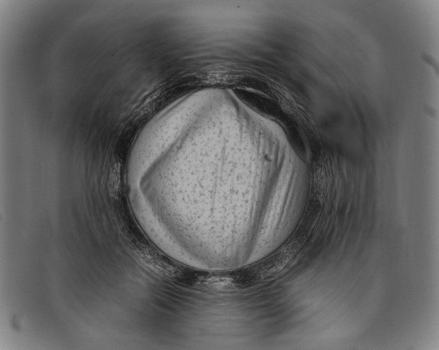 X0000097820554200804041401