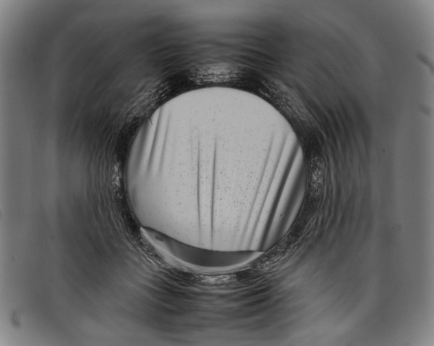 X0000097820555200804041401