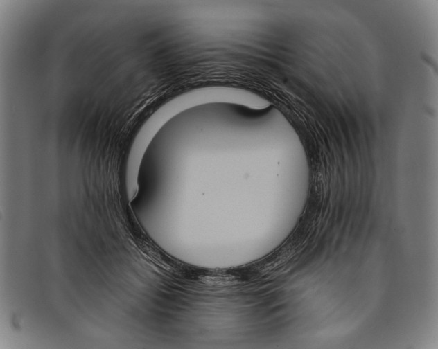 X0000097820556200804041401