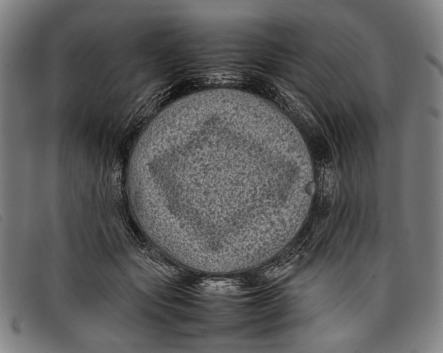 X0000097820557200804041401