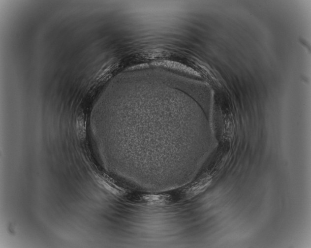 X0000097820558200804041401