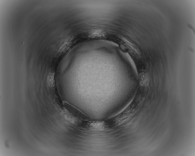 X0000097820560200804041401