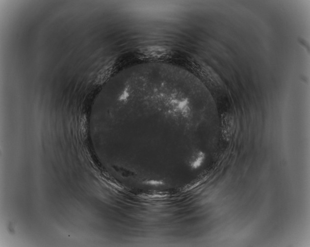 X0000097820563200804041401