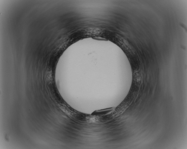 X0000097820564200804041401